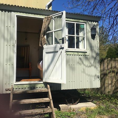 Posh Huts Farmstay Falstone Extérieur photo