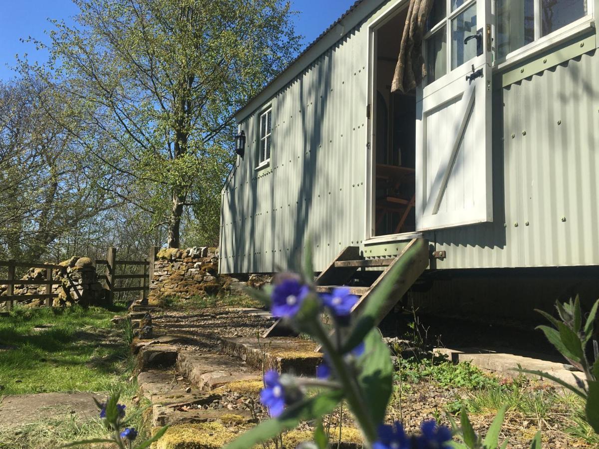 Posh Huts Farmstay Falstone Extérieur photo