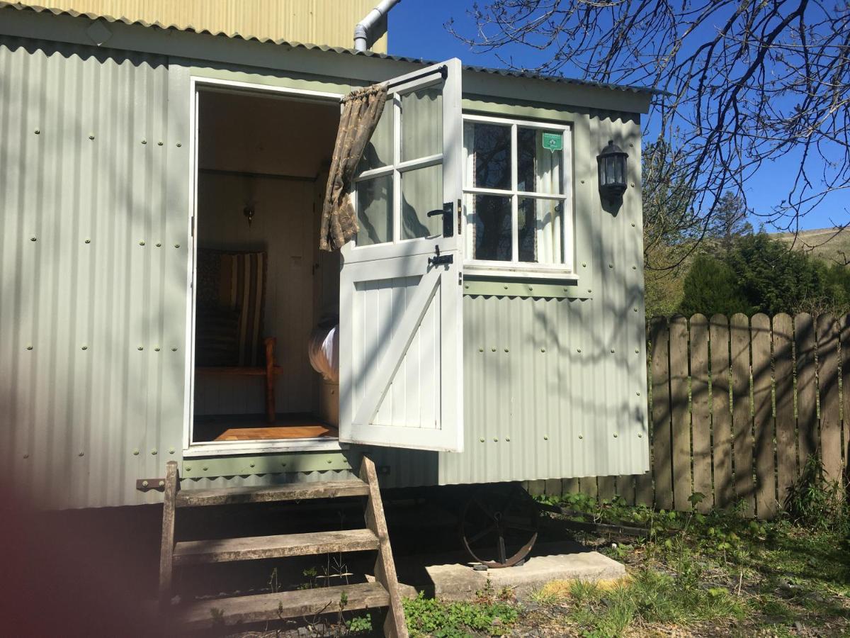 Posh Huts Farmstay Falstone Extérieur photo