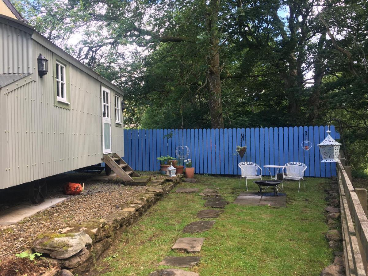 Posh Huts Farmstay Falstone Extérieur photo
