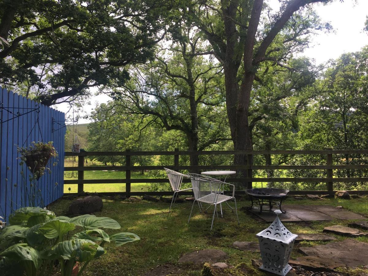 Posh Huts Farmstay Falstone Extérieur photo