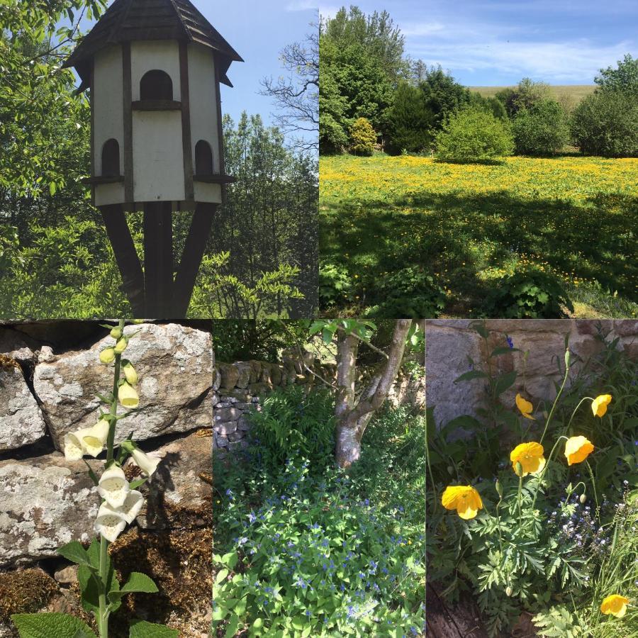 Posh Huts Farmstay Falstone Extérieur photo