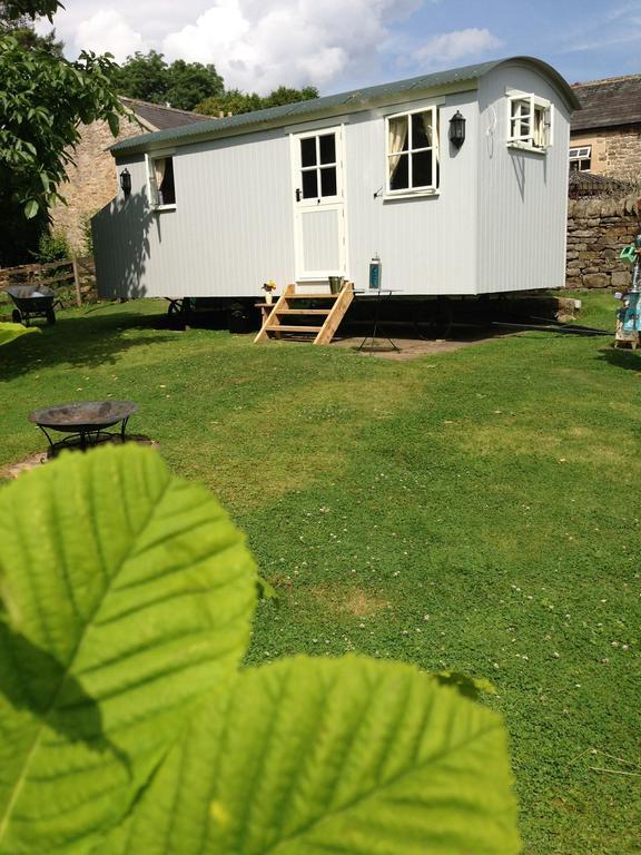 Posh Huts Farmstay Falstone Chambre photo
